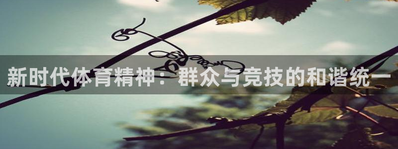 77体育官网