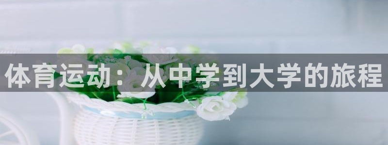 77体育