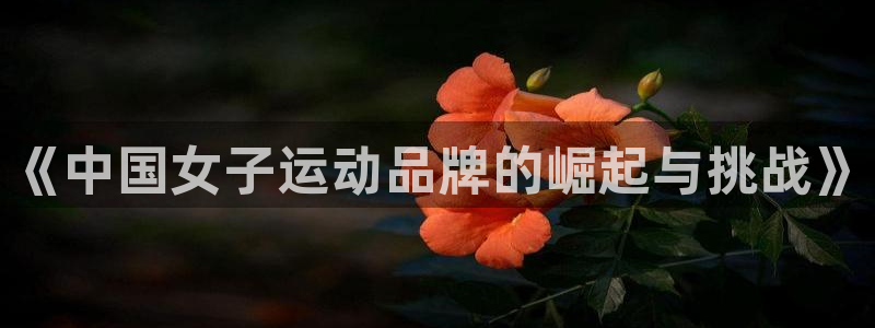 77体育app下载官网