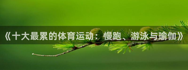 77体育app下载官网