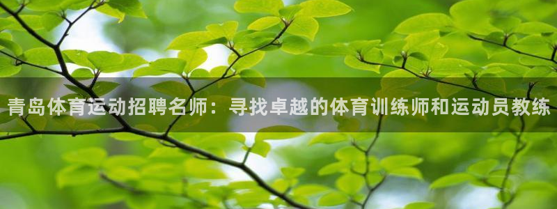 77体育app下载官网