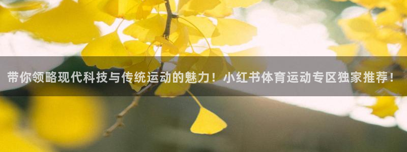 77体育app下载官网