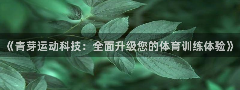 皇冠277体育