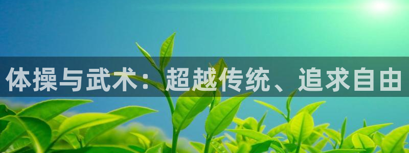 77体育官网