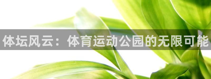 77体育
