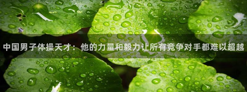 77体育官网