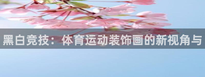 77体育官网